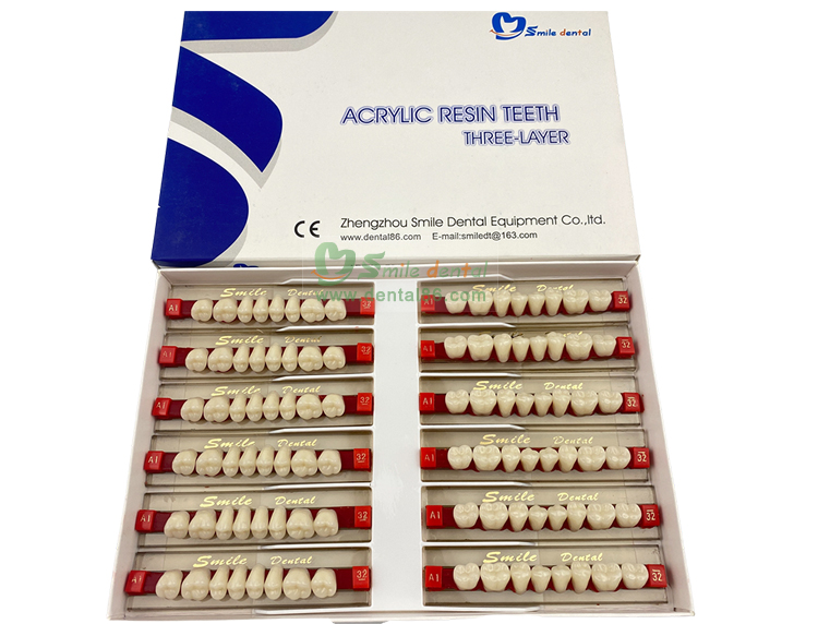 SA32 Synthetic Resin Teeth Three Layer